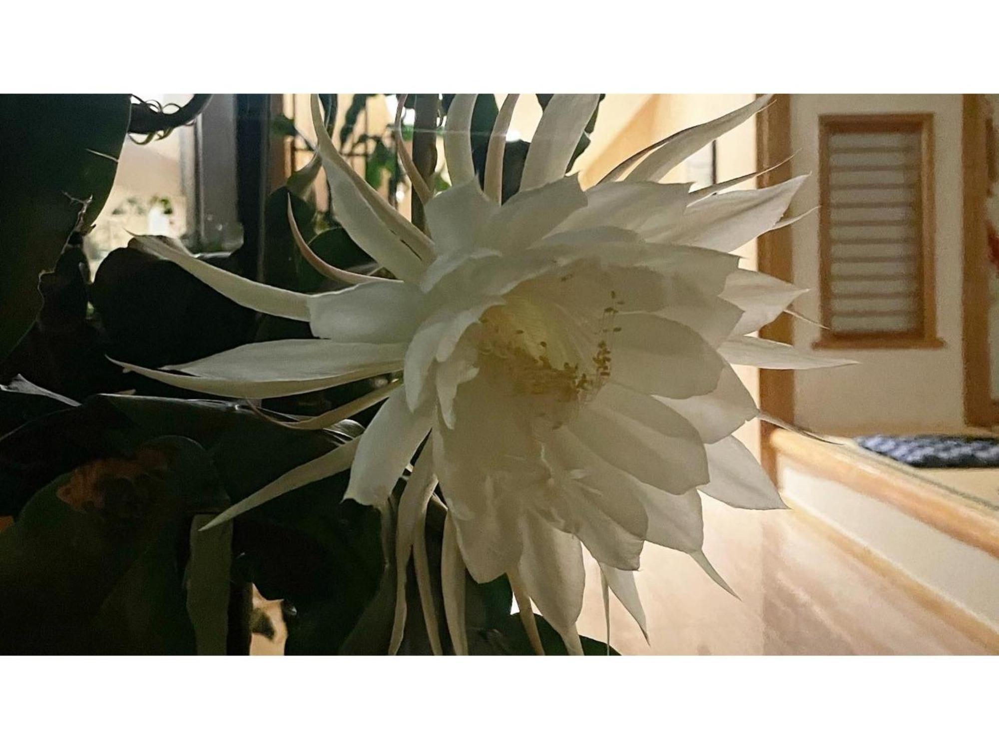 Nakanoyu Onsen Ryokan - Vacation Stay 06697V Ματσουμότο Εξωτερικό φωτογραφία