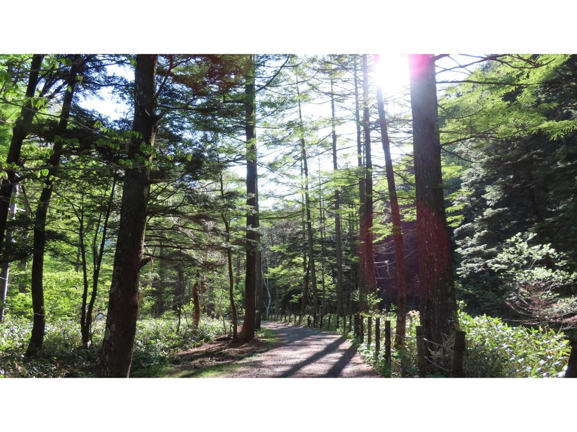 Nakanoyu Onsen Ryokan - Vacation Stay 06697V Ματσουμότο Εξωτερικό φωτογραφία